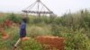 Congo Returns Militia Leader's Body; New Chief Named
