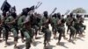 Al-Shabab Tembaki Keledai Sebagai Bagian dari Perang Ekonomi