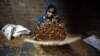 India Imposes Retaliatory Tariffs on 28 US Goods Starting Sunday