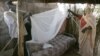 WHO: Upaya Pengendalian Malaria Selamatkan 3,3 Juta Nyawa Sejak 2000
