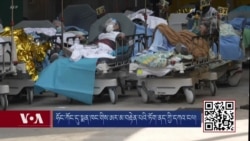 ཧོང་ཀོང་དུ་སྨན་ཁང་གིས་ཨར་མ་བརྟེན་པའི་ཏོག་ནད་ཀྱི་དཀའ་ངལ། 