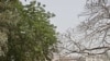 Supply Problems Delay Nigerian Elections