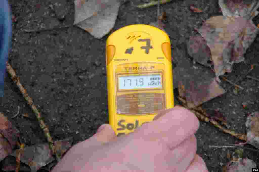 An unusually high radiation reading of about 172 micro-sieverts per hour over some vegetation on the ground of the Pripyat amusement park, in Pripyat, near the Chernobyl Nuclear Power Plant, Ukraine, March 19, 2014. (Steve Herman/VOA)