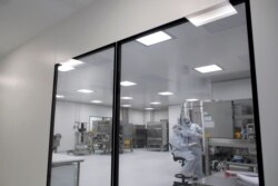 In this Aug. 14, 2020, file photo, laboratory technicians work at the mAbxience biopharmaceutical company on an experimental coronavirus vaccine developed by Oxford University and the laboratory AstraZeneca in Garin, Argentina.