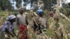 Kenya Court Rejects Plea for Equal Property Rights in Divorce