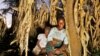 Feed the Soil, Feed the Crops
