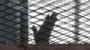 Egypt Executes 9 Over 2015 Killing of Top Prosecutor