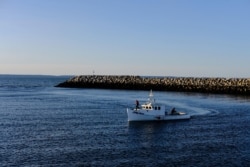 Fishermen from the Sipekne'katik band, part of the First Nations Mi'kmaw community who began harvesting lobster outside of the commercial season, return to port in Saulnierville, Nova Scotia, Canada, Sept. 22, 2020.