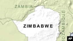 Zimbabwe has been demanding 51 percent shares from all foreign-owned companies.