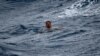 Tropical Storm Elsa Comes Ashore in North Florida