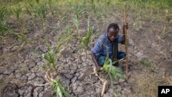 Ethiopia Drought