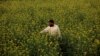 Poor Farmers -- Unlike Rich -- Face Uphill Battle With Pakistan's Climate Extremes