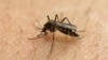Epidémie de fièvre jaune avec 89 cas et un décès