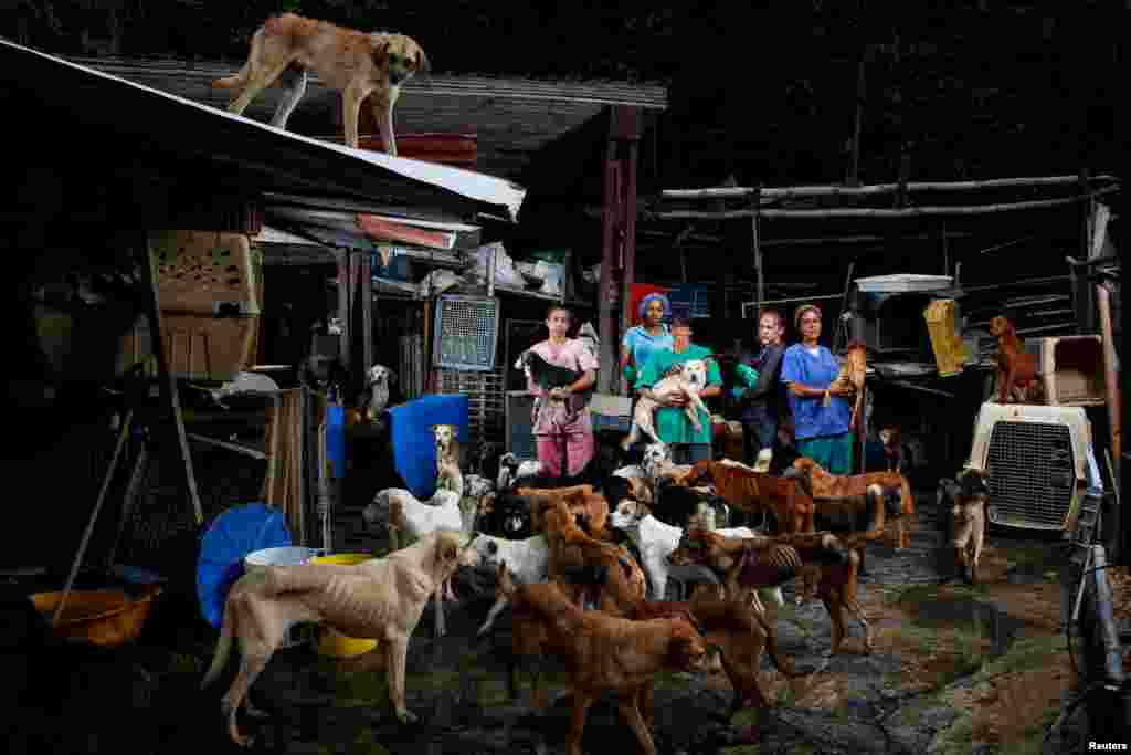 បុគ្គលិកផ្តល់ជំនួយថតរូបជាមួយនឹងសុនខនៅផ្ទះចិញ្ចឹមសុនខអនាថានៅក្រុង Los Teques ប្រទេសវេណេស៊ុយអេឡា។ ប្រជាជនវេណេស៊ុយអេឡាមានការលំបាកនៅក្នុងការចិញ្ចឹមសុនខរបស់ខ្លួន ខណៈពេលវិបត្តិសេដ្ឋកិច្ចដែលមិនធ្លាប់មានពីមុនមកកំពុងនាំឲ្យមានកំណើនសត្វអនាថានៅតាមដងផ្លូវ សួនច្បារ និងជម្រកបណ្តោះអាសន្ននានា។ 