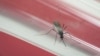 US Declares State of Emergency in Puerto Rico for Zika Virus