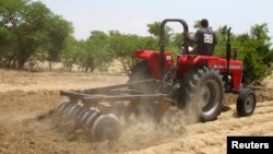 FILE - A farmer plows the field in Saulawa village, on the outskirts of Nigeria's north-central state of Kaduna.
