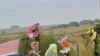 Analyst Says Zuma Calmed Tensions After White Supremacist’s Murder