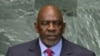 International Powers React to Mali PM's Resignation