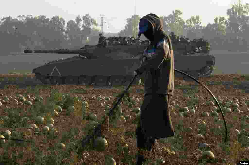 A laborer tends a watermelon field as tanks are stationed near the border with Gaza, July 30, 2014. 