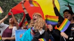 FILE - Participants displays a rainbow flag and cheer as gay rights activists and their supporters march during a gay pride parade in New Delhi, India, Nov. 12, 2017.