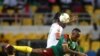 Dorgommii Kubbaa Miilaa Biyyoota Afrikaa Bara 2017, Gaaboon<br />
&nbsp;