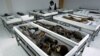 Chile Seeks Help to Protect World's Oldest Mummies