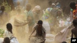 Forêt de Machinga, à environ 200 kilomètres au nord-est de Blantyre, au Malawi. le 24 mai 2016