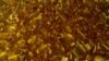 Fish Oil Supplements May Hinder Cancer Treatment, Researchers Say
