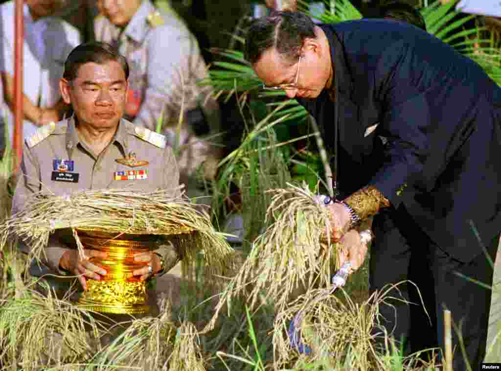 ព្រះមហាក្សត្រថៃព្រះបាទ Bhumidol Adulyadej (ខាងស្តាំ) ប្រមូលផលស្រូវនៅក្នុងគម្រោងមួយឧបត្ថម្ភដោយគ្រួសាររាជវង្សនៅខេត្ត Prachinburi ចម្ងាយប្រមាណ ១០០ គីឡូម៉ែត្រ ភាគខាងកើតក្រុងបាងកក កាលពីថ្ងៃទី១៨ ខែវិច្ឆិកា ឆ្នាំ១៩៩៨។ ព្រះមហាក្សត្រ ដែលមានព្រះជន្ម ៧១ ព្រះវស្សានាគ្រានោះ មានបន្ទូលទៅកាន់ កសិករថា ការពឹងពាក់លើខ្លួនឯងនឹងជួយពួកគេទប់ទល់នឹងវិបត្តិសេដ្ឋកិច្ចដ៏ធ្ងន់ធ្ងរបំផុតនៅក្នុងរយៈពេលរាប់ទសវត្សរ៍មកនេះ។