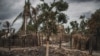 What's Happening in Mozambique's Violent North? It's Complicated 