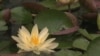 16x9 Image