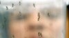 Pejabat Kesehatan AS Keluarkan Pedoman Baru Virus Zika