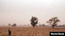 Un paysage du désert au Mali