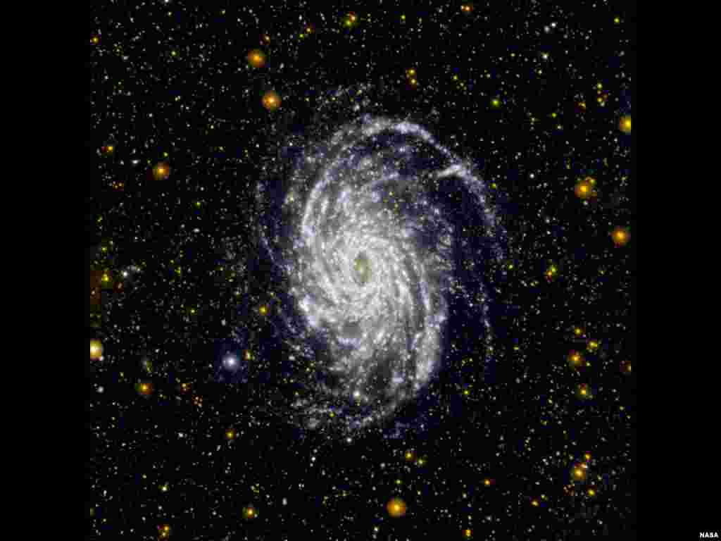This image from NASA's Galaxy Evolution Explorer shows NGC 6744, one of the galaxies most similar to our Milky Way in the local universe. The galaxy is situated in the constellation of Pavo at a distance of about 30 million light-years. (NASA/JPL-Caltech)