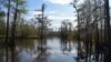 US Lone Star State Features Breathtaking Untouched Landscapes 
