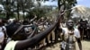Kenya's Indigenous Complain of Forceful Eviction From Forests 