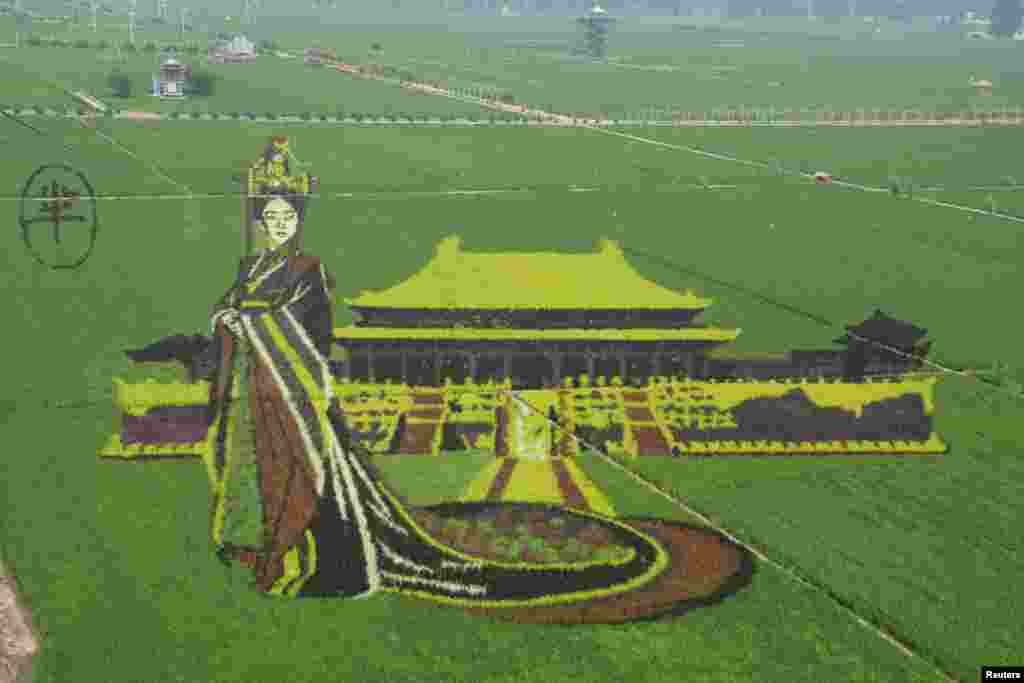 Rice saplings of different colors and varieties are planted to form a 3D image of Mi Yue, a character from the TV series "The Legend of Mi Yue," at a rice paddy field in Shenyang, Liaoning Province, China, July 10, 2016.