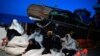 Les migrants sont assis à bord du MV Aquarius, un navire de sauvetage affrété par SOS-Méditerranée et Médecins Sans Frontières (MSF), en Méditerranée, à destination de l'Italie le 9 mai 2018. La Garde côtière italienne a accordé l'autorisation à 105 migra